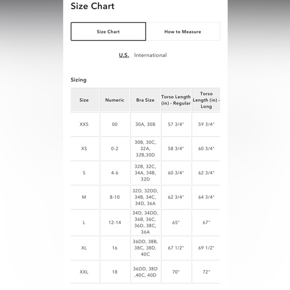 EUC Aerie Strappy Back One-Piece Swimsuit (L) - Picture 5 of 5